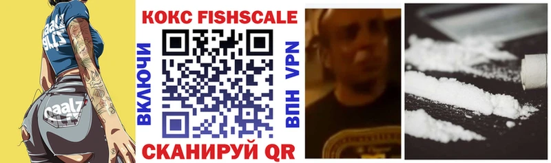 Кокаин FishScale  где купить наркотик  Шилка 