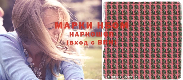 СК Вязьма