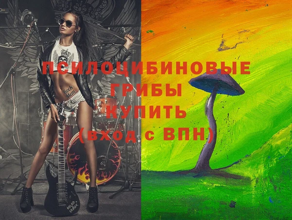 a pvp Володарск
