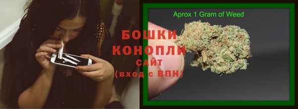 2c-b Вяземский