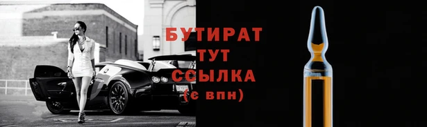 СК Вязьма