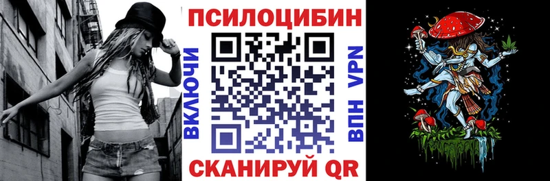 кракен ONION  где продают   Шилка  Псилоцибиновые грибы Psilocybine cubensis 